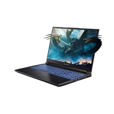 Ноутбук Dream Machines G1650-15 15.6FHD IPS, Intel i5-13500H, 16GB, F1TB, NVD1650-4, DOS, чорний (G1650-15UA91)