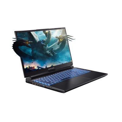 Ноутбук Dream Machines G1650-15 15.6FHD IPS, Intel i7-13700H, 16GB, F1TB, NVD1650-4, DOS, чорний (G1650-15UA96)