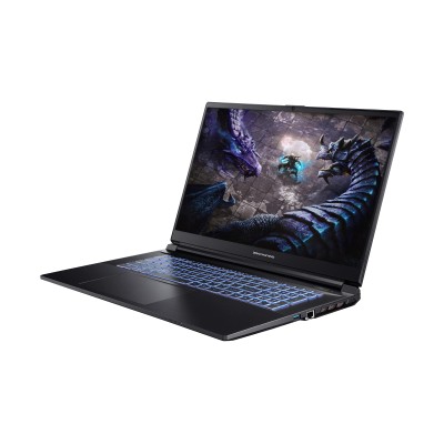 Ноутбук Dream Machines G1650-17 17.3FHD IPS, Intel i5-13500H, 16GB, F1TB, NVD1650-4, DOS, чорний (G1650-17UA91)