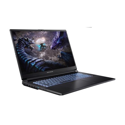 Ноутбук Dream Machines G1650-17 17.3FHD IPS, Intel i7-13700H, 16GB, F1TB, NVD1650-4, DOS, чорний (G1650-17UA96)