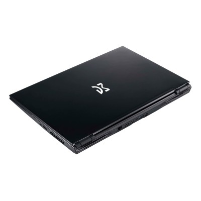 Ноутбук Dream Machines RG2070-17 17.3FHD IPS 240Hz/Intel i7-10750H/16/1024F/NVD2070-8/DOS (RG2070-17UA31)