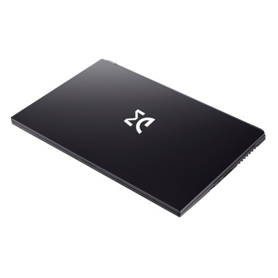 Ноутбук Dream Machines RG3050Ti-17 17.3FHD IPS, Intel i7-12700H, 16GB, F500GB, NVD3050Ti-4, DOS, черный (RG3050TI-17UA35)