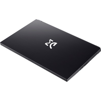 Ноутбук Dream Machines RG3050Ti-17 17.3FHD IPS, Intel i7-12700H, 16GB, F500GB, NVD3050Ti-4, DOS, черный (RG3050TI-17UA46)