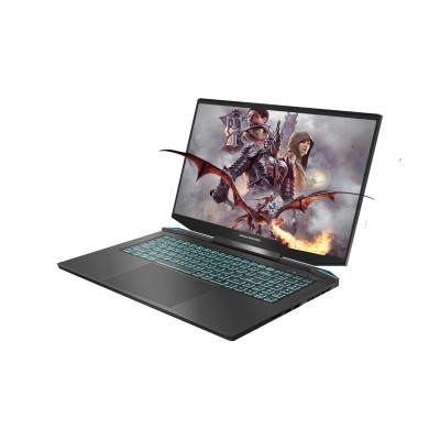 Ноутбук Dream Machines RG4050-17 17.3FHD IPS, Intel i7-13700H, 16GB, F1TB, NVD4050-6, DOS, черний (RG4050-17UA28)