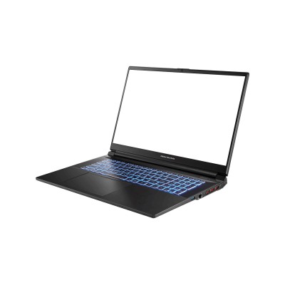 Ноутбук Dream Machines RG4050-17 17.3FHD IPS, Intel i7-13700H, 16GB, F1TB, NVD4050-6, DOS, чорний (RG4050-17UA26)
