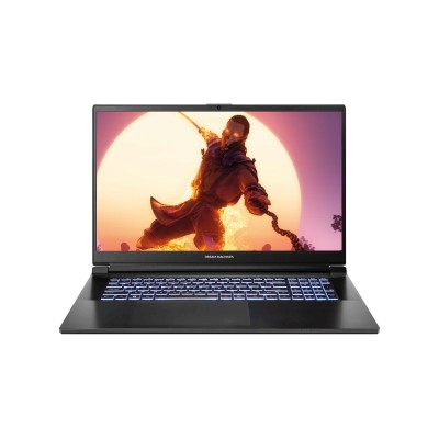 Ноутбук Dream Machines RG4050-17 17.3FHD IPS, Intel i7-13700H, 16GB, F1TB, NVD4050-6, DOS, чорний (RG4050-17UA26)