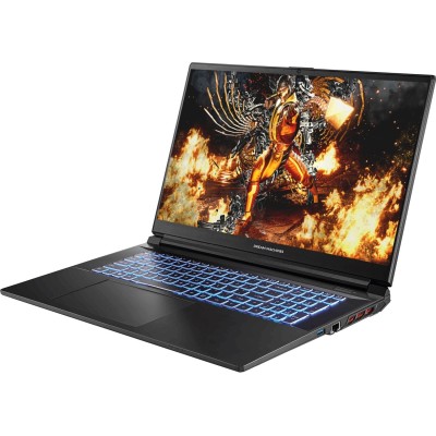 Ноутбук Dream Machines RG4050-17 17.3FHD, Intel i5-13500H, 16, F500GB, NVD4050-6, DOS, черний (RG4050-17UA20)