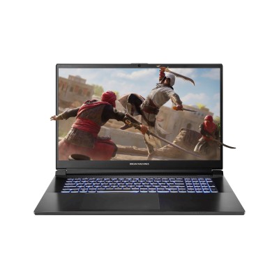 Купити Ноутбук Dream Machines RG4060-17 17.3FHD IPS, Intel i7-13700H, 16GB, F1TB, NVD4060-8, DOS, чорний (RG4060-17UA26)