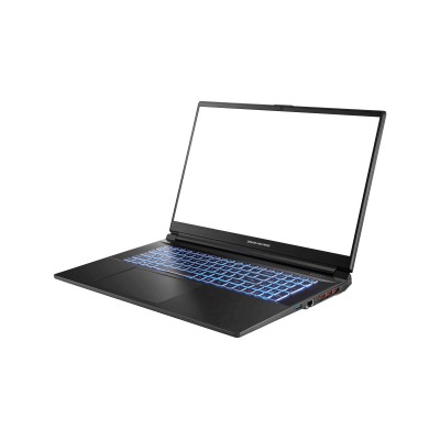 Купити Ноутбук Dream Machines RG4060-17 17.3FHD IPS, Intel i7-13700H, 16GB, F1TB, NVD4060-8, DOS, чорний (RG4060-17UA26)