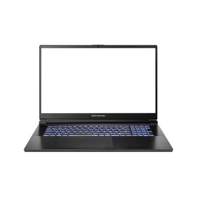 Купити Ноутбук Dream Machines RG4060-17 17.3FHD IPS, Intel i7-13700H, 16GB, F1TB, NVD4060-8, DOS, чорний (RG4060-17UA26)