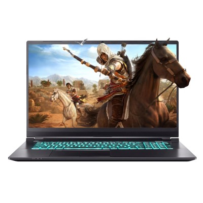 Ноутбук Dream Machines RS2060-17 17.3FHD IPS 144Hz/Intel i7-10750H/16/1024F/NVD2060-6/DOS (RS2060-17UA51)