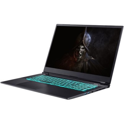 Ноутбук Dream Machines RS3060-17 17.3QHD WVA 165Hz/Intel i7-11800H/16/1024F/NVD3060-6/DOS (RS3060-17UA26)