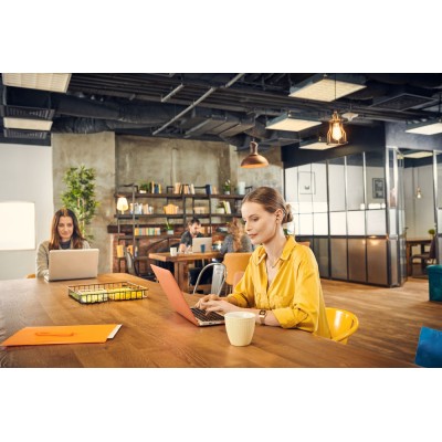 Купити Ноутбук HP 17-ca2011ur 17.3FHD IPS AG/AMD R3 3250U/8/256F/int/DOS/Silver (104M6EA)