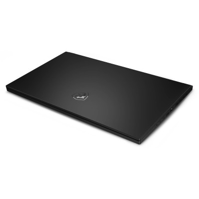 Ноутбук MSI GS66 Stealth 15.6" QHD 240Hz/Intel i9-12900H/32/1TB/NVD3080TI-16/W11 (GS6612UHS-404UA)