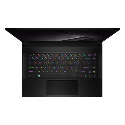 Купити Ноутбук MSI Stealth GS66-10UH 15.6FHD 300Hz/Intel i7-10870H/32/2TB/NVD3080-16/W10P (GS6610UH-456UA)