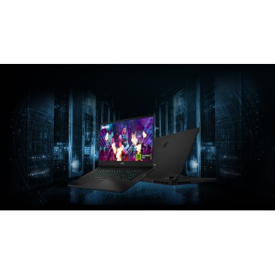 Ноутбук MSI Vector 17.3" QHD+, Intel i9-13900H, 32GB, F2TB, NVD4070-8, DOS, черный (VECTOR_GP77_13VG-072UA)