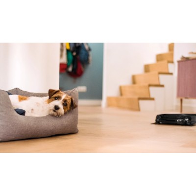 Робот-пылесос Miele контейнерный, 30Вт, h8,5см, сухая уборка, конт пыль -0,4л, автон. раб. 