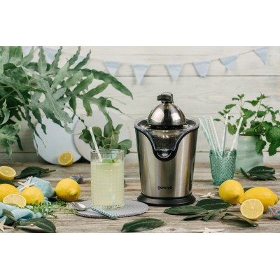 Купити Соковыжималка Gorenje цитрус-пресс 100Вт, металл (CJ100HE)