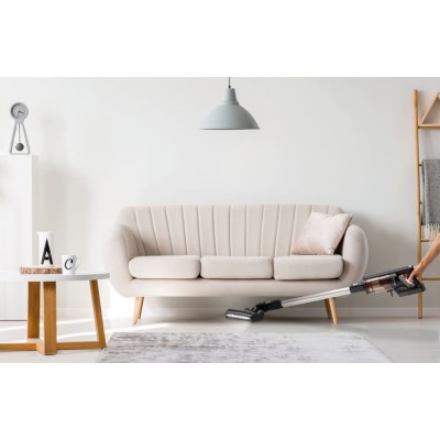 Вертик.беспроводный пылесос Gorenje SVC252FMBK/контейн/2 в 1-ручн и вертик/HEPA/60 мин/черный (SVC252FMBK)
