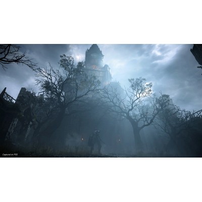 Гра PS5 Demons Souls Remake [Blu-Ray диск] (9812623)