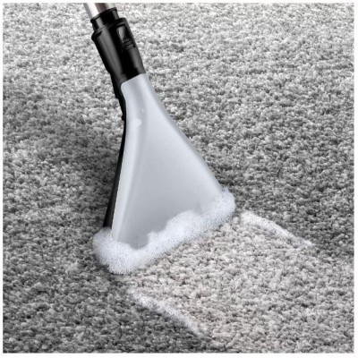 Пилосос миючий BOSCH BWD 421 PET - 1