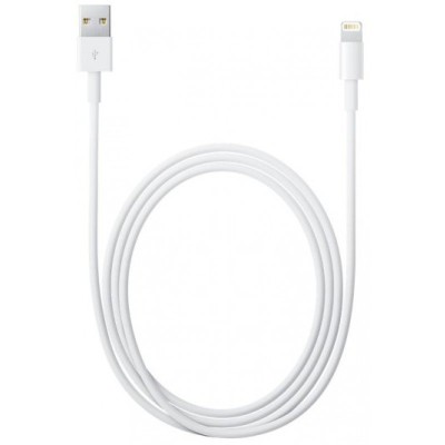 USB кабель Apple Lightning to USB (1m) (MQUE2/MD818/MXLY2)