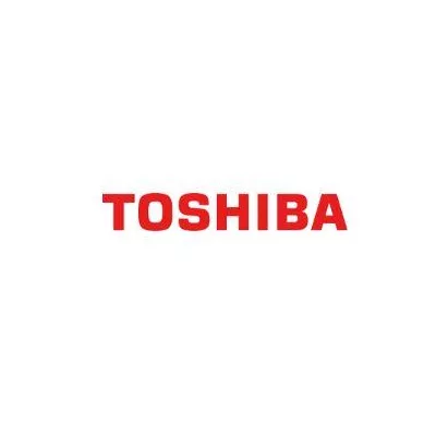 Гальмівний майданчик HOLD PAD 6LJ75294000 TOSHIBA
