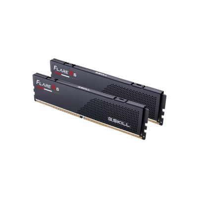 Набір з двох модулів пам'яті 32GB DDR5-6000 K2 F5-6000J3636F16GX2-FX5 G.SKILL Набір з двох модулів пам'яті 32GB DDR5-6000 K2 F5-6000J3636F16GX2-FX5 G.SKILL