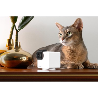 Компактна HD-камера Petcube Cam 360 (P36010US)