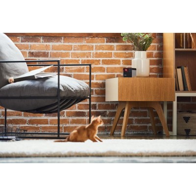 Компактна HD-камера Petcube Play 2 (PP20US)