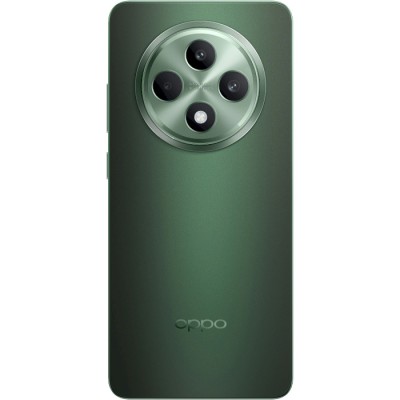 Смартфон Oppo Reno 12 FS 12/512GB Black Green (CPH2637)