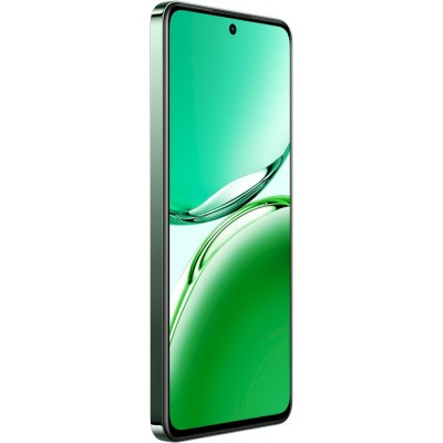 Смартфон Oppo Reno 12 FS 12/512GB Black Green (CPH2637)