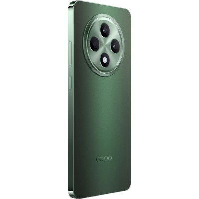 Смартфон Oppo Reno 12 FS 12/512GB Black Green (CPH2637)