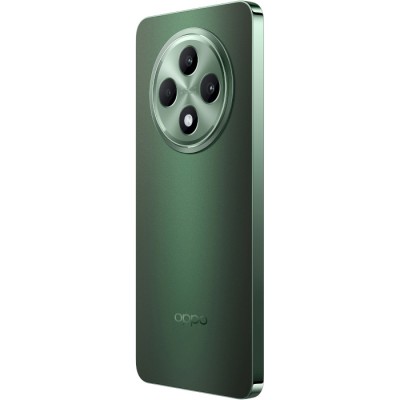 Смартфон Oppo Reno 12 FS 12/512GB Black Green (CPH2637)
