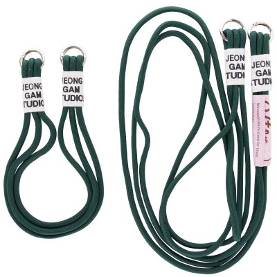 Чохол TPU two straps California для Apple iPhone 13 Pro (6.1") Зелений / Forest green