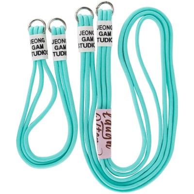 Чохол TPU two straps California для Apple iPhone 13 Pro Max (6.7") Бірюзовий / Marine Green