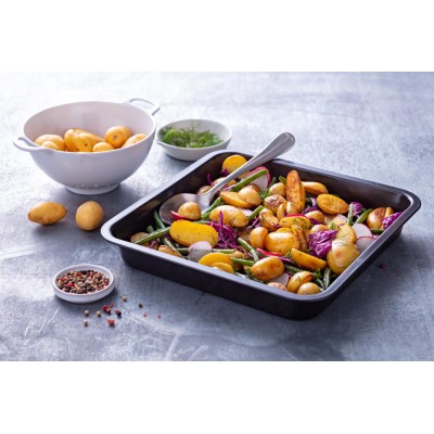Форма PYREX DAILY мет.форма квадратная 24x24см (1.8л) (DM26SR6/3046) Форма PYREX DAILY мет.форма квадратная 24x24см (1.8л) (DM26SR6/3046)