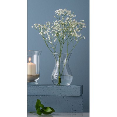 Ваза TRENDGLASS ASTA /18 см (35445) Ваза TRENDGLASS ASTA /18 см (35445)