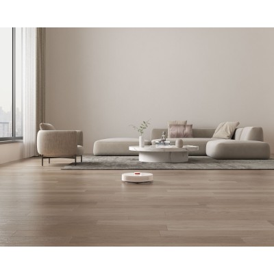 Робот-пилосос Xiaomi Robot Vacuum S10+