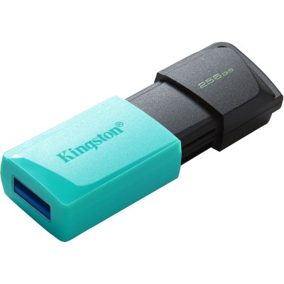 Флеш-пам'ять USB Kingston DT Exodia M 256GB Black + Teal USB 3.2 (DTXM/128GB)