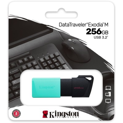 Флеш-пам'ять USB Kingston DT Exodia M 256GB Black + Teal USB 3.2 (DTXM/128GB)