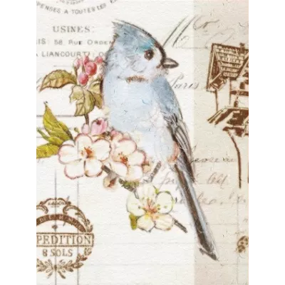 Альбом UFO 20sheet S22x32 Bird