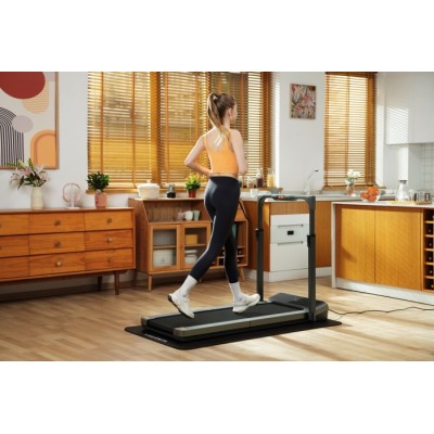 Бігова доріжка Kingsmith Treadmill Z3 Hybrid Black (WP400P42)