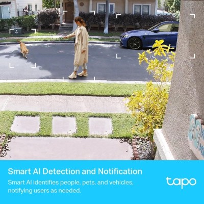 Мережева відеокамера SMART H.264 TAPO C420S2 TP-LINK