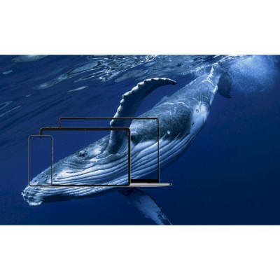 Планшет TECNO MEGAPAD 11 (T1101) 8/128Gb Starfall Grey Планшет TECNO MEGAPAD 11 (T1101) 8/128Gb Starfall Grey
