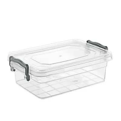 контейнер пл. VIOLET HOUSE 0458 FAMILY BOX прям. 650 мл (0458 FAMILY BOX прям. 650 мл)