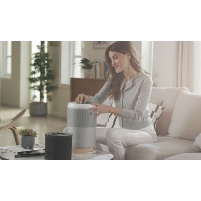 Фільтр до очищувача повітря SmartMi ZMFL-P1-C Pet Allergy