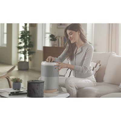 Фільтр до очищувача повітря SmartMi ZMFL-P1-C Pet Allergy