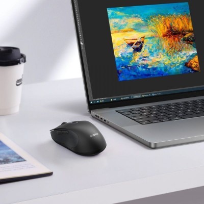 Бездротова Комп'ютерна Миша Baseus F02 Ergonomic Wireless Mouse (without Battery) (B01055505111-01) black