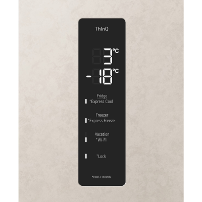 Холодильник LG GC-B509FEMW